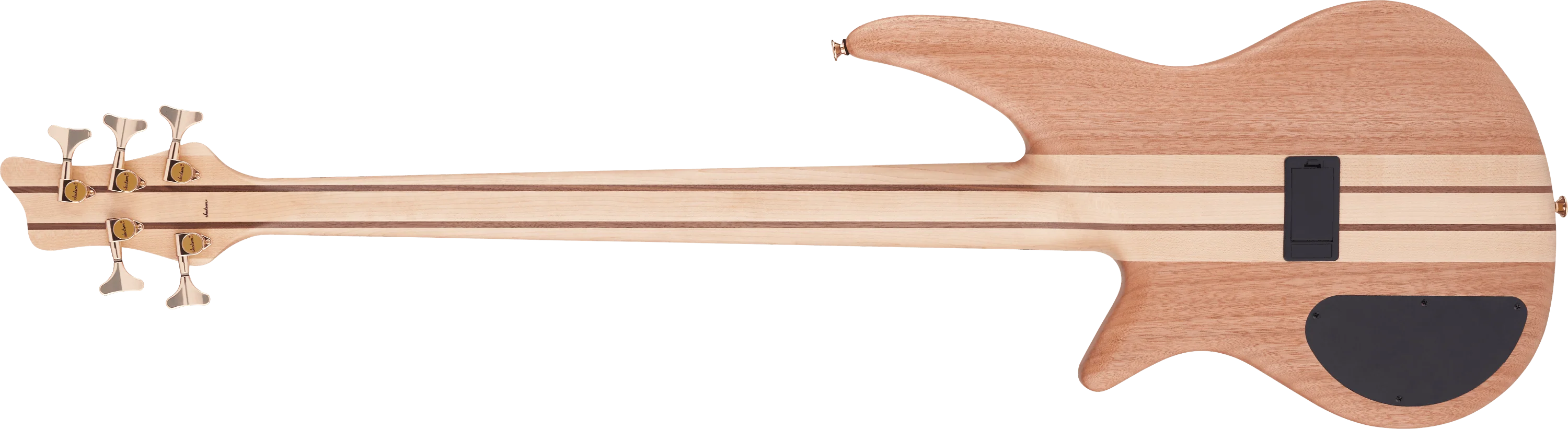 Pro Series Spectra Bass SBP V - Image 2