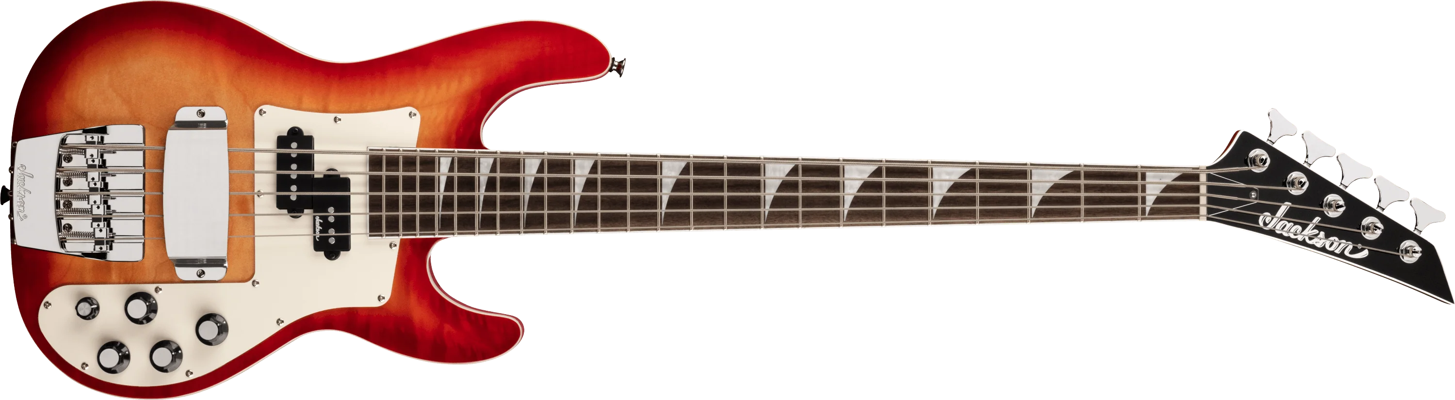 X Series Concert™ Bass CBXNT DX V - Image 4